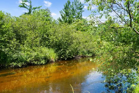 View/Area - 719 Wright Rd, Grayling, MI 49738 photo 2 of 3