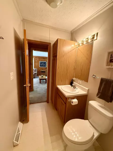 Bath - 11263 Wilderness Trl, Vanderbilt, MI 49795 photo 4 of 4