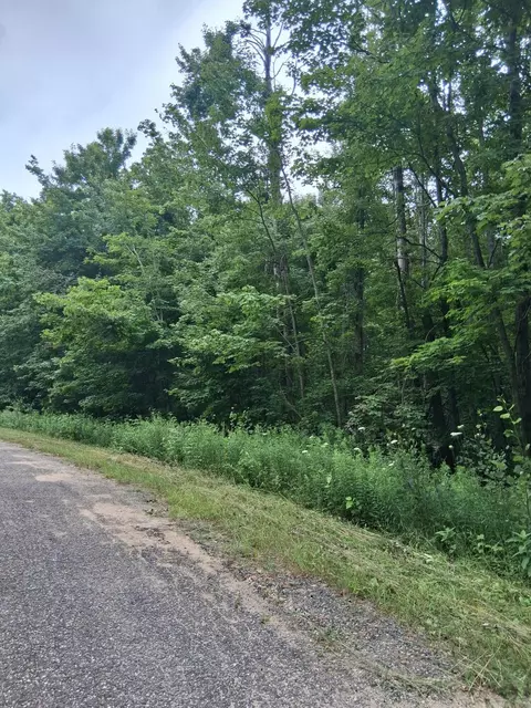 norway drive LOT S 137, Elmira, MI 49730
