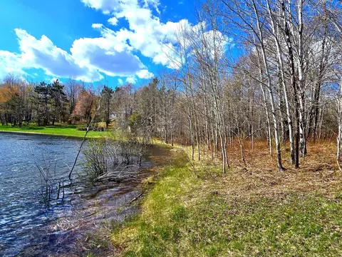 252 Sunridge Dr, Elmira, MI 49730