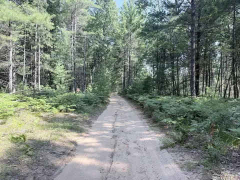Other - 10870 Thoman Trl, Roscommon, MI 48653 photo 1 of 3
