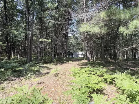 Exterior - 10870 Thoman Trl, Roscommon, MI 48653 photo 8 of 10