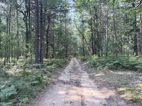 Other - 10870 Thoman Trl, Roscommon, MI 48653 photo 2 of 3
