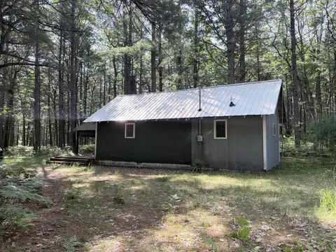 Exterior - 10870 Thoman Trl, Roscommon, MI 48653 photo 3 of 10