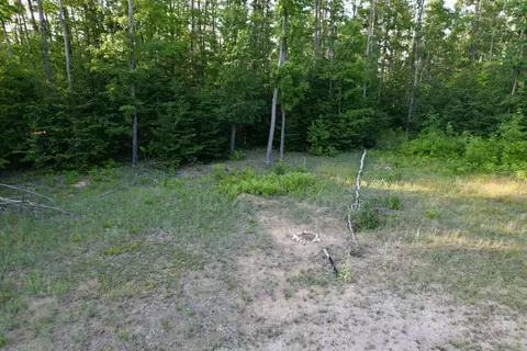 1308 S Magee Rd, Vanderbilt, MI 49795 photo 4