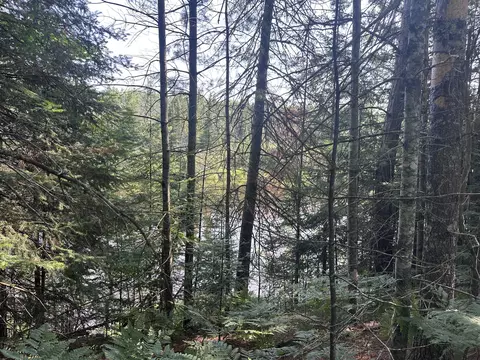 View/Area - 4986 Haskell Dr, Lewiston, MI 49756 photo 1 of 8