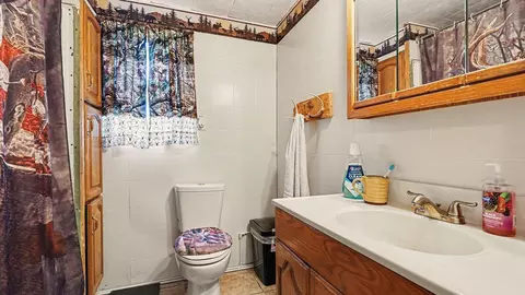 Bath - 601 Pine Ln, Mio, MI 48647 photo 1 of 1