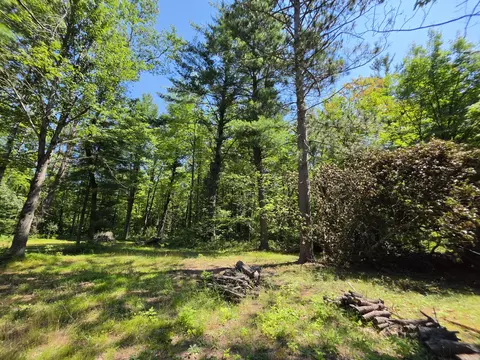 Exterior - 109 Seaton Dr, Mio, MI 48647 photo 6 of 18