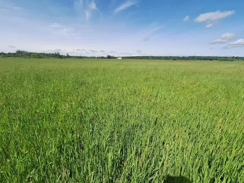 1035 N Poor Farm #RD, Harrisville, MI 48740