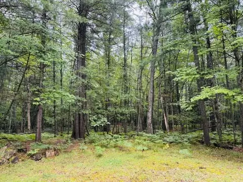 Exterior - 314 Acre Ct, Roscommon, MI 48653 photo 5 of 8