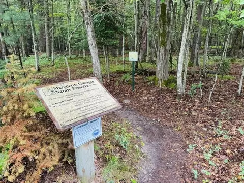 Other - 314 Acre Ct, Roscommon, MI 48653 photo 5 of 6