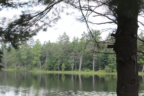 View/Area - 1203 Lakeview Dr, Mio, MI 48647 photo 1 of 3