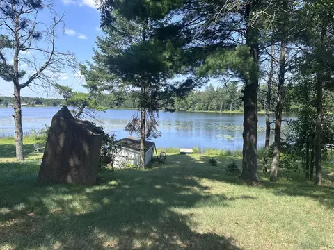 Exterior - 1203 Lakeview Dr, Mio, MI 48647 photo 7 of 8