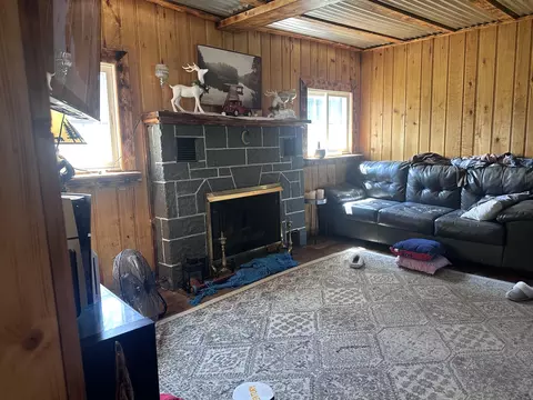 Living - 1203 Lakeview Dr, Mio, MI 48647 photo 2 of 2