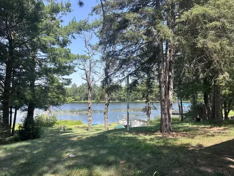 Exterior - 1203 Lakeview Dr, Mio, MI 48647 photo 5 of 8