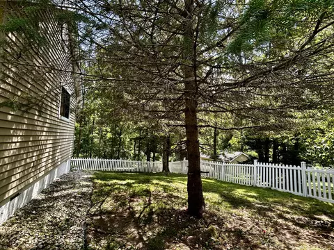 Exterior - 11154 White Ash Trl, Vanderbilt, MI 49795 photo 4 of 8