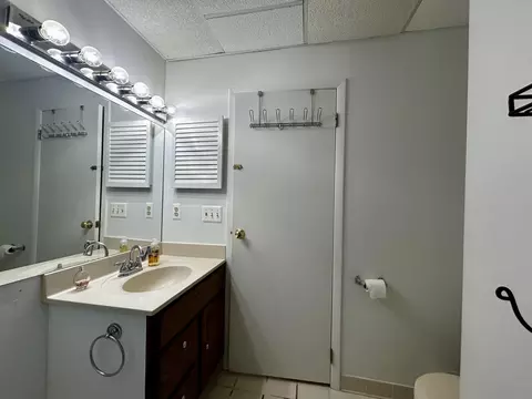 Bath - 11154 White Ash Trl, Vanderbilt, MI 49795 photo 3 of 4