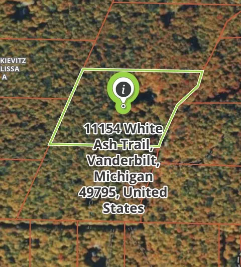 Other - 11154 White Ash Trl, Vanderbilt, MI 49795 photo 1 of 16
