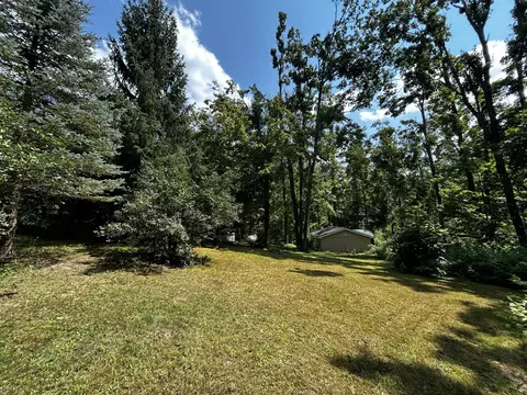 Exterior - 11154 White Ash Trl, Vanderbilt, MI 49795 photo 8 of 8