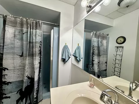 Bath - 11154 White Ash Trl, Vanderbilt, MI 49795 photo 2 of 4