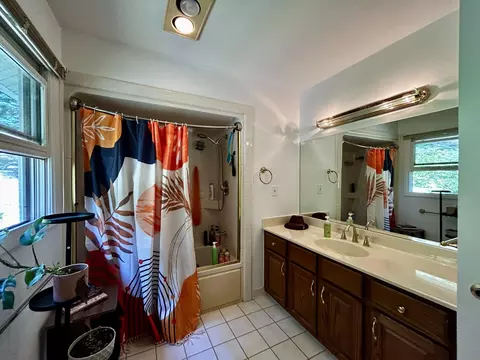 Bath - 11154 White Ash Trl, Vanderbilt, MI 49795 photo 1 of 4