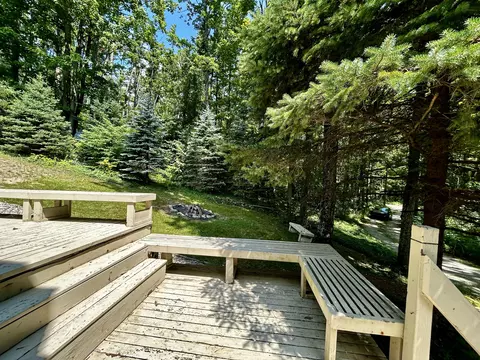 Exterior - 11154 White Ash Trl, Vanderbilt, MI 49795 photo 6 of 8