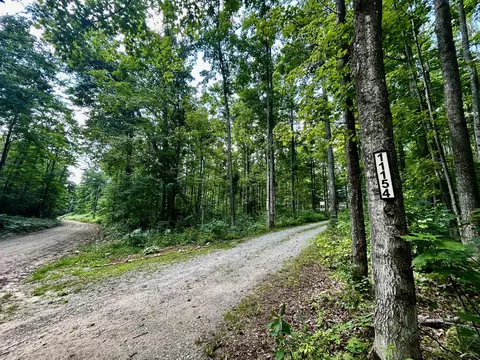 Other - 11154 White Ash Trl, Vanderbilt, MI 49795 photo 16 of 16