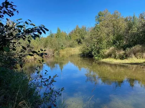 lot6 E Airport, Atlanta, MI 49709