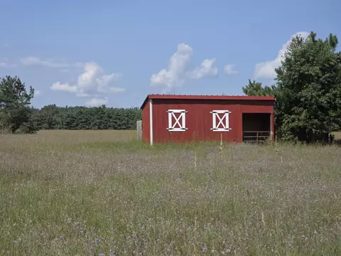 Other - 7623 Randolph St, Vanderbilt, MI 49795 photo 9 of 9
