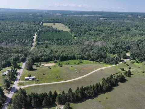 View/Area - 7623 Randolph St, Vanderbilt, MI 49795 photo 1 of 1