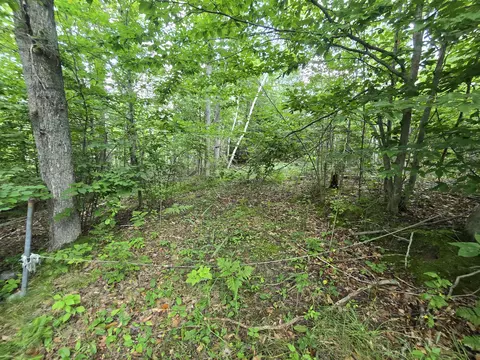 v/l chippewa trail lot 62-64, Johannesburg, MI 49751
