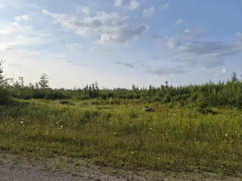 V/L Black Bear Highway #80 ACRES, Rogers City, MI 49779