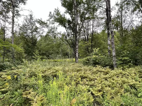 lot95 96 Snowridge Dr, Elmira, MI 49730