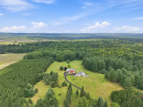 View/Area - 8099 Greenwood Rd, Gladwin, MI 48624 photo 3 of 9