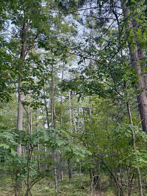 lot Apt 279 Nottingham Dr, Frederic, MI 49733 photo 6