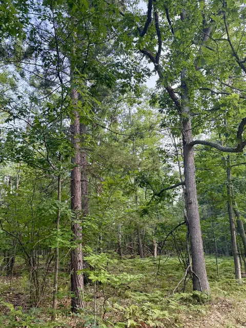 lot Apt 279 Nottingham Dr, Frederic, MI 49733 photo 5