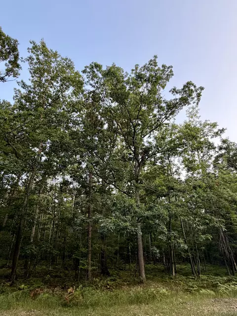 lot Apt 279 Nottingham Dr, Frederic, MI 49733 photo 4