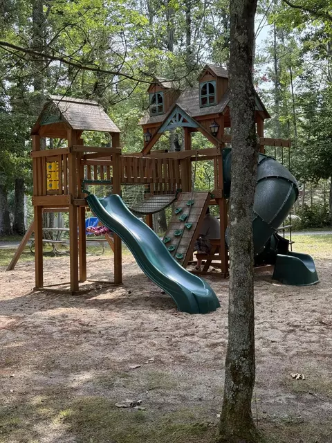 Exterior - 11800 Goodfellow Dr, Frederic, MI 49733 photo 17 of 17