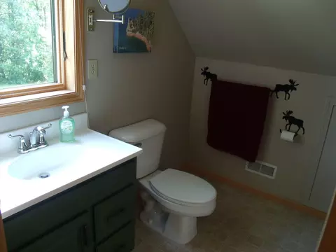 Bath - 9622 Meyers Rd, Wolverine, MI 49799 photo 4 of 5