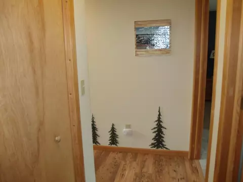 Entry Way - 9622 Meyers Rd, Wolverine, MI 49799 photo 3 of 4