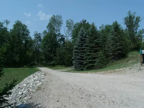 Exterior - 9622 Meyers Rd, Wolverine, MI 49799 photo 16 of 18