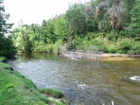 View/Area - 9622 Meyers Rd, Wolverine, MI 49799 photo 4 of 6