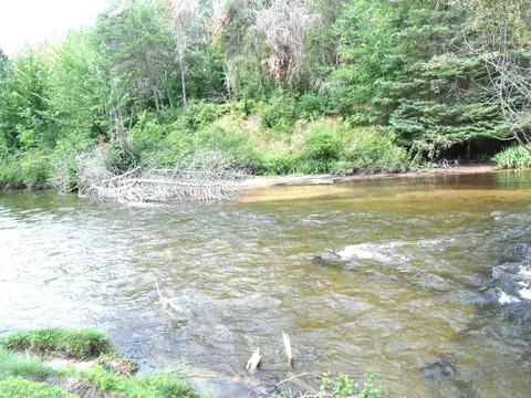 View/Area - 9622 Meyers Rd, Wolverine, MI 49799 photo 3 of 6