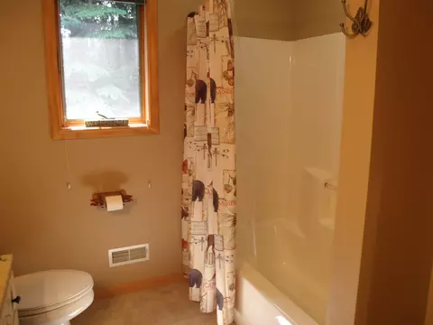 Bath - 9622 Meyers Rd, Wolverine, MI 49799 photo 2 of 5