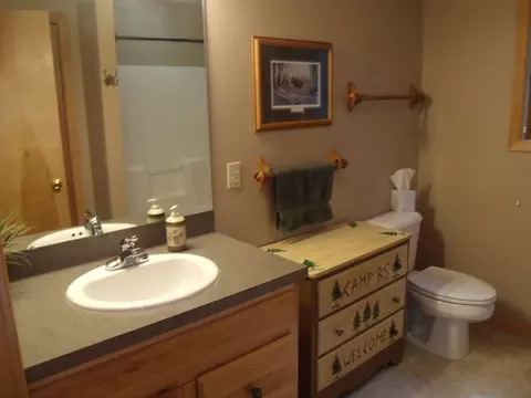 Bath - 9622 Meyers Rd, Wolverine, MI 49799 photo 1 of 5