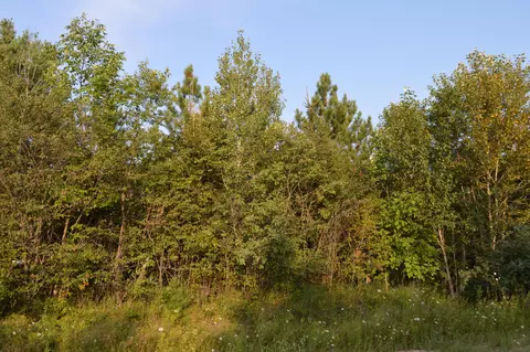 Other - 240 Davis Rd, Mio, MI 48647 photo 2 of 5