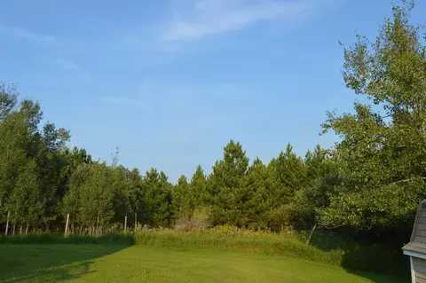 Exterior - 240 Davis Rd, Mio, MI 48647 photo 6 of 6