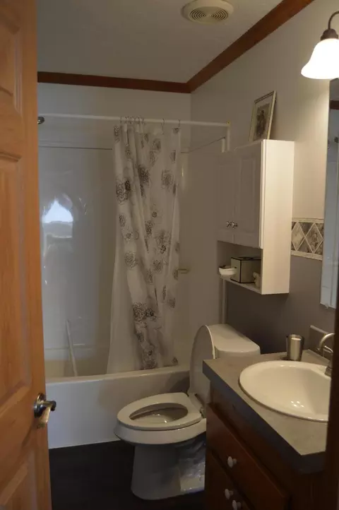 Bath - 240 Davis Rd, Mio, MI 48647 photo 2 of 2