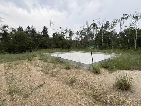 5544 E County Road 612, Grayling, MI 49738 photo 5