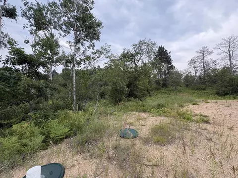 5544 E County Road 612, Grayling, MI 49738 photo 7